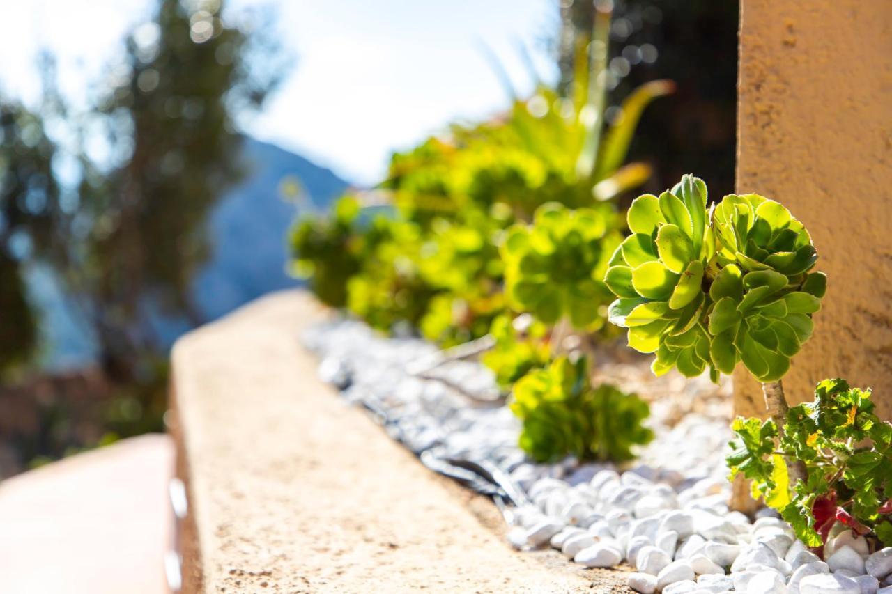 Villa Esmeralda - Free Wifi - With Swimming Pool Costa Paradiso Exterior foto